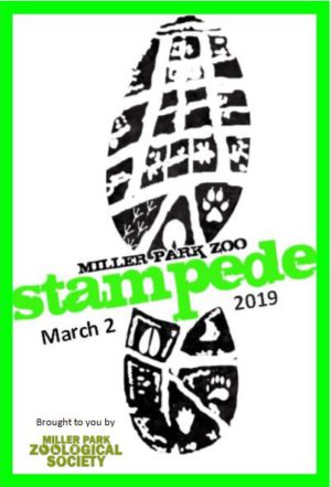 Stampede Stampede