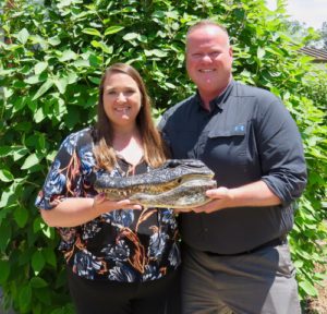 Mikel & Nicole Alligator Mikel & Nicole Alligator