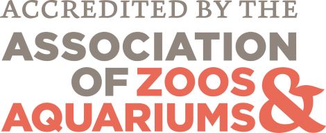 Miller Park Zoo is accredited by the Association of zoos and aquariums