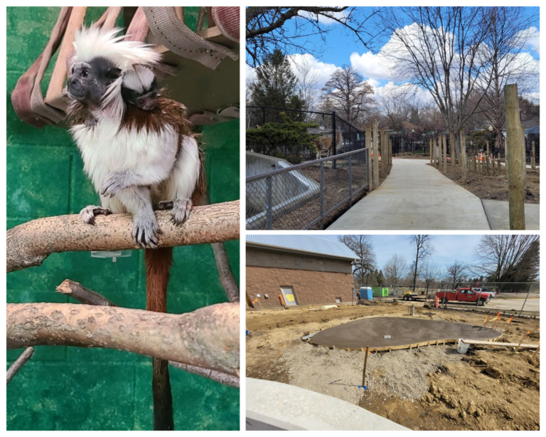 What's new at the Zoo! Miller Park Zoological Society