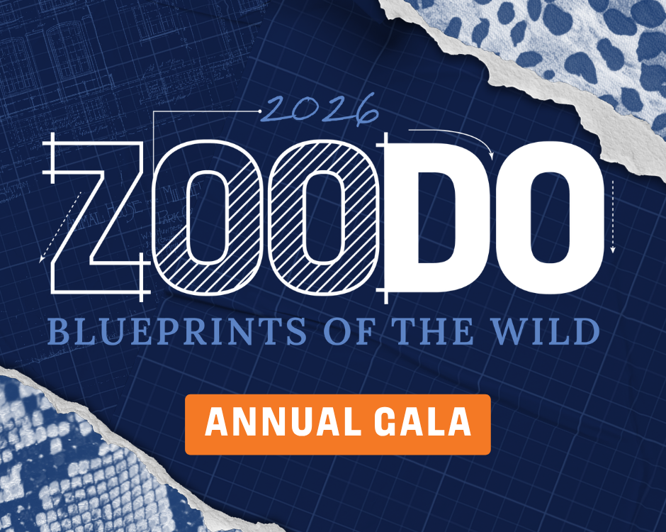 Annual gala