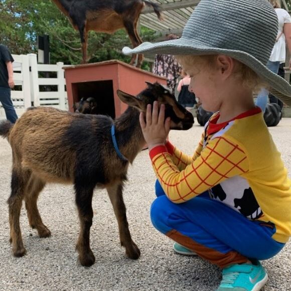 Child with San Clemente Island Goat